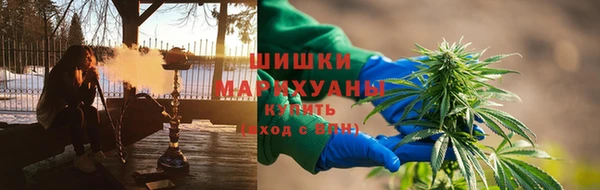 mdpv Богданович